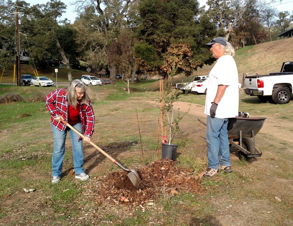 Deborah and Dave planting a Live Oak tree.